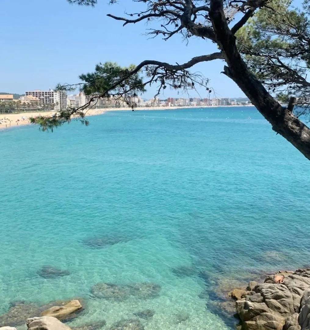 Villa Privee Sans Vis A Vis A 4 Min De Platja D'Aro Calonge   Calonge (Catalonia)